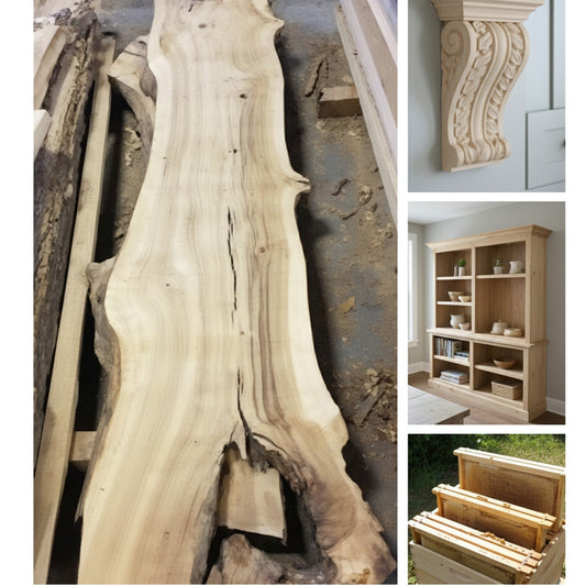 Poplar Wood: The Unsung Hero of the Workshop