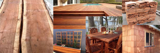 Redwood: The Giant of the Forest and the King of Outdoor Durability