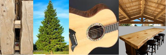 Spruce Wood: The Unseen Structural Giant and the Secret to Perfect Sound