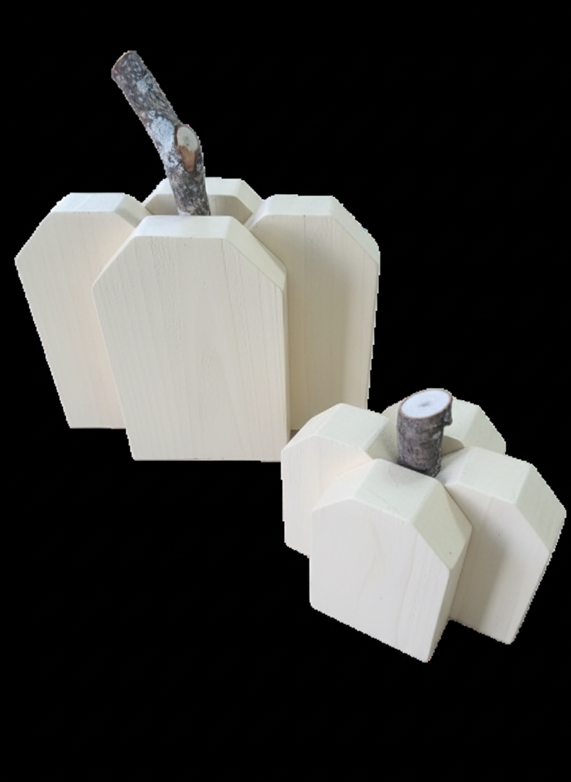 Rustic Pumpkin Duo (Set of 2)