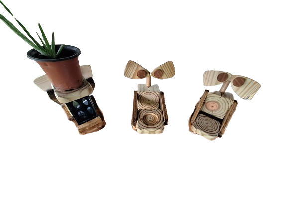 Rowan the Bot Plant Holder