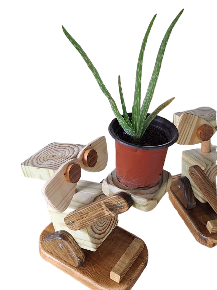 Rowan the Bot Plant Holder